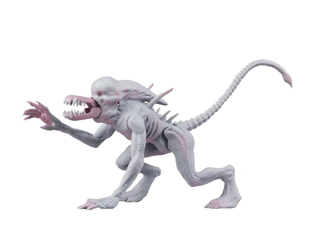 Alien & Predator Classics Action Figures 14 cm