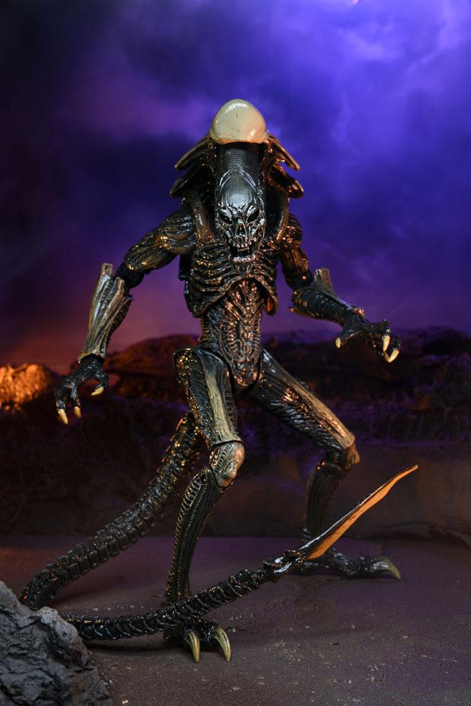 Alien vs Predator Action Figure Chrysalis Alien 20 cm