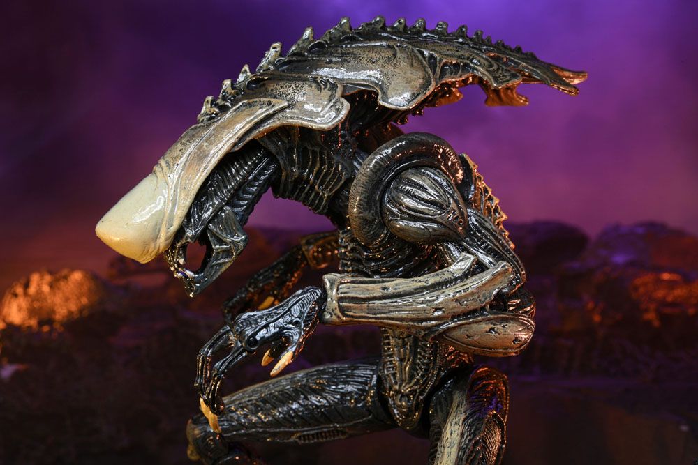 Alien vs Predator Action Figure Chrysalis Alien 20 cm