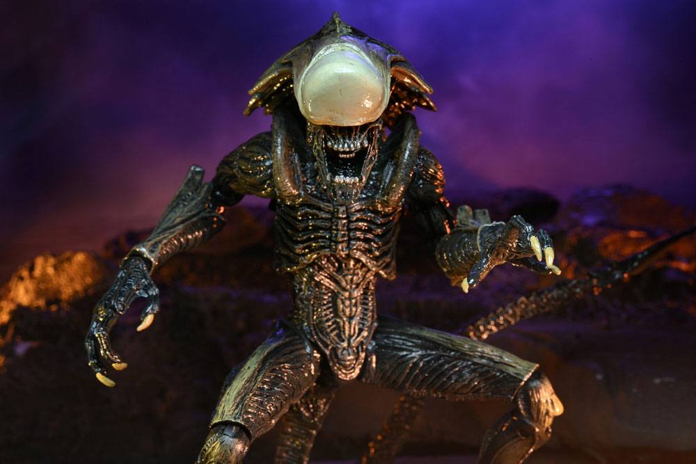 Alien vs Predator Action Figure Chrysalis Alien 20 cm