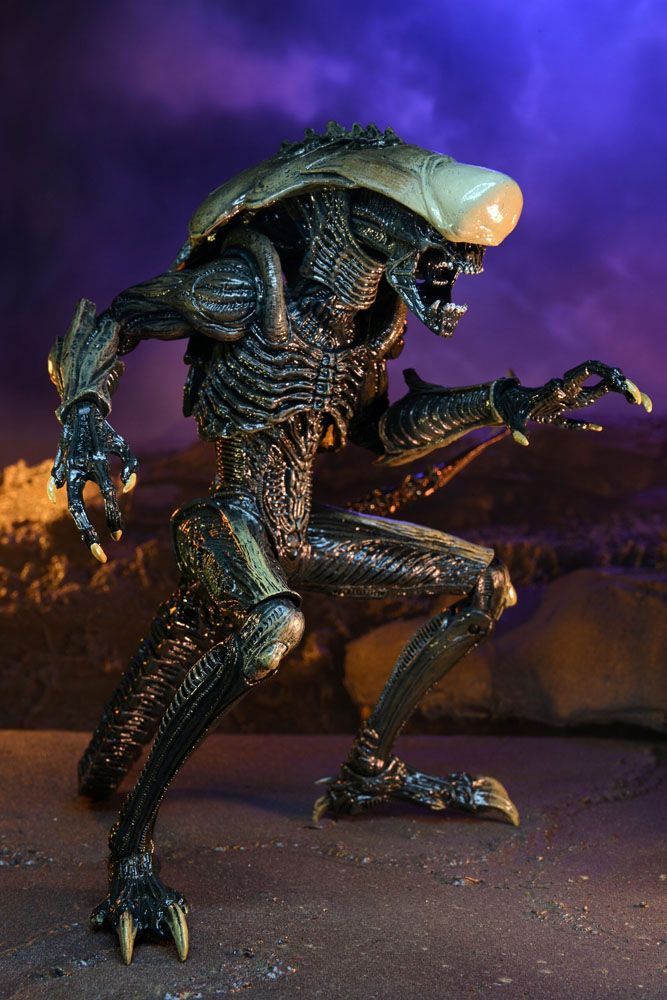Alien vs Predator Action Figure Chrysalis Alien 20 cm