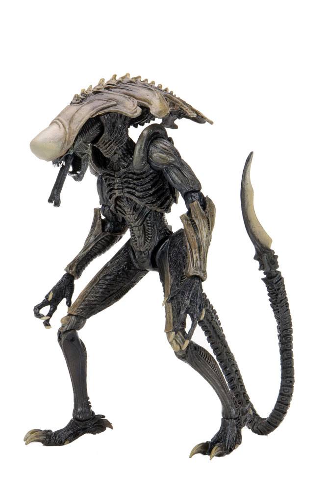 Alien vs Predator Action Figure Chrysalis Alien 20 cm