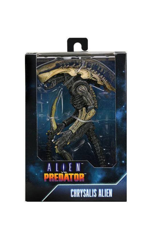 Alien vs Predator Action Figure Chrysalis Alien 20 cm
