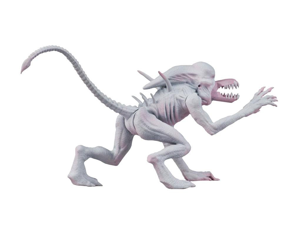 Alien & Predator Classics Action Figures 14 cm