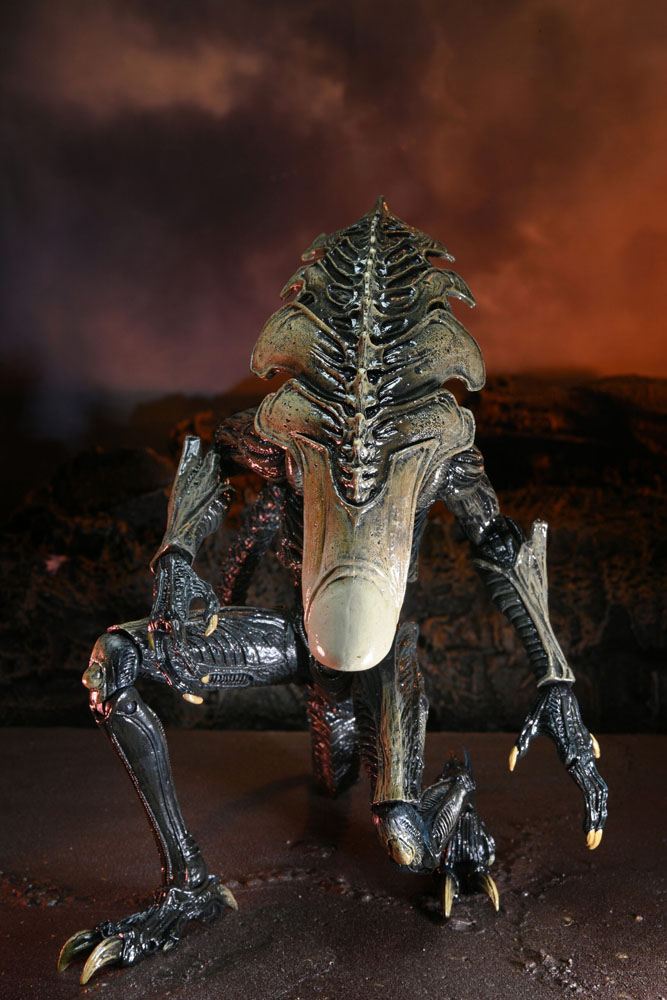 Alien vs Predator Action Figure Chrysalis Alien 20 cm